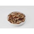 Gefrorener frisch geschnittener Shiitake-Pilz-300g